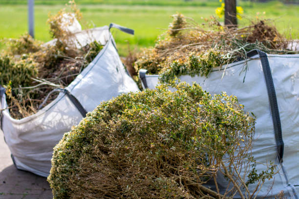 Best Hoarding Cleanup  in Six Mile, SC